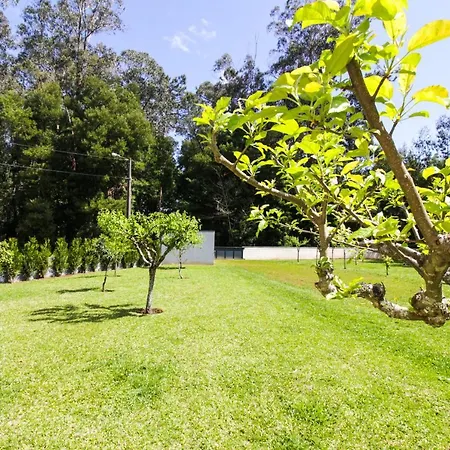 River House In Nova Cerveira Villa *