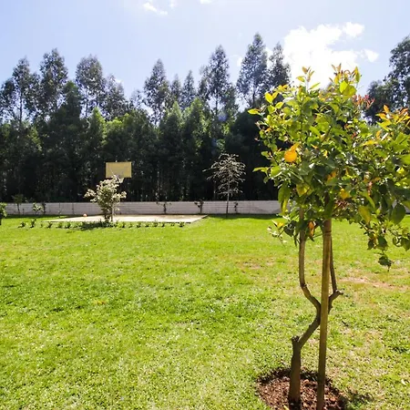 River House In Nova Cerveira *