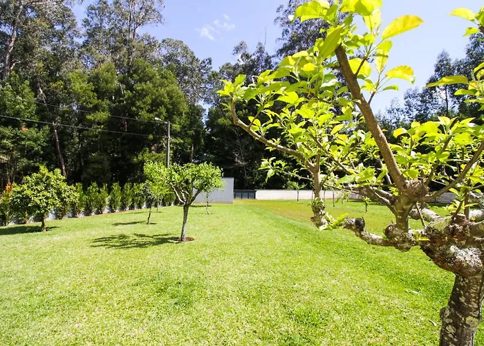 River House In Nova Cerveira ヴィラ *