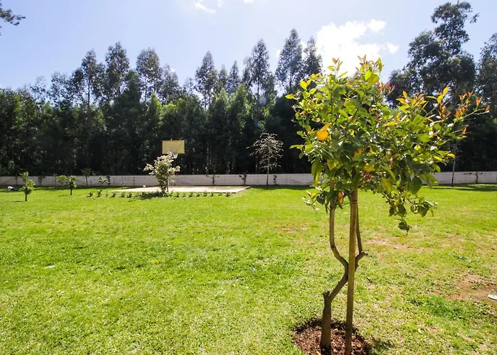 River House In Nova Cerveira *